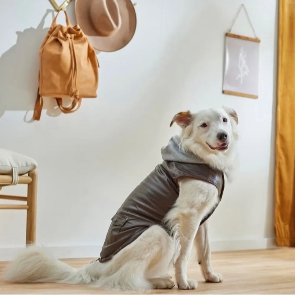 🌟🐾🐕Large dog faux leather jacket with hoodie
